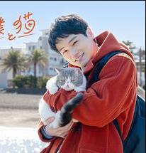 旅行和我和猫